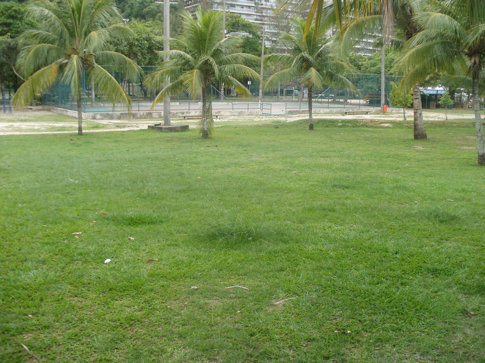 Paisagismo e áreas abertas do Parque do Cantagalo.
