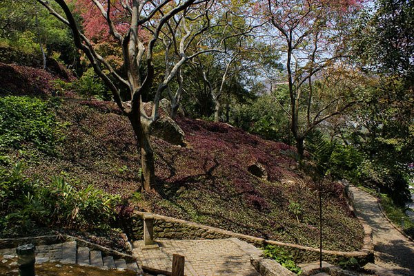 Caminhos e vegetação no Parque da Catacumba.